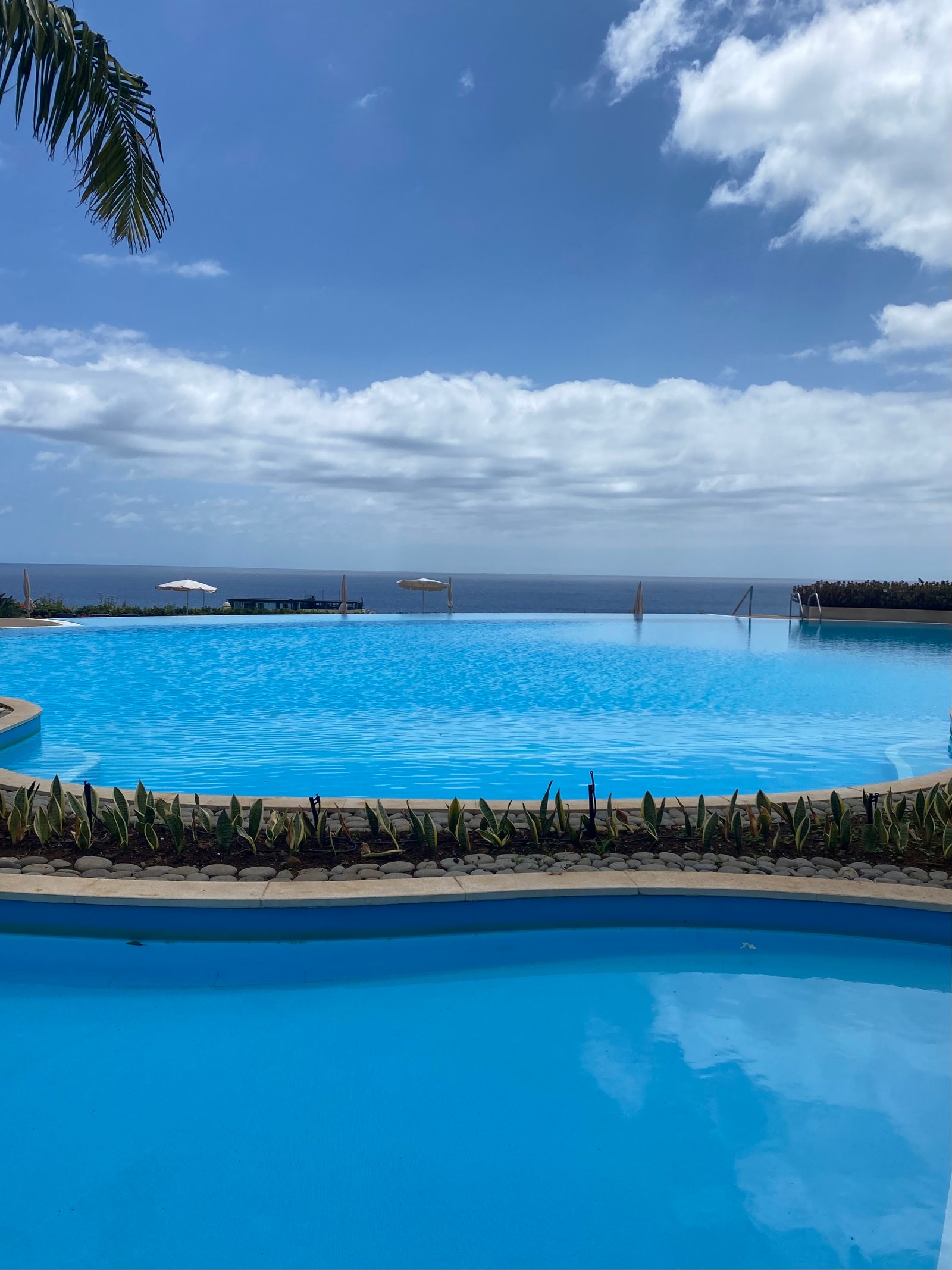 This and a caipiriña please! 