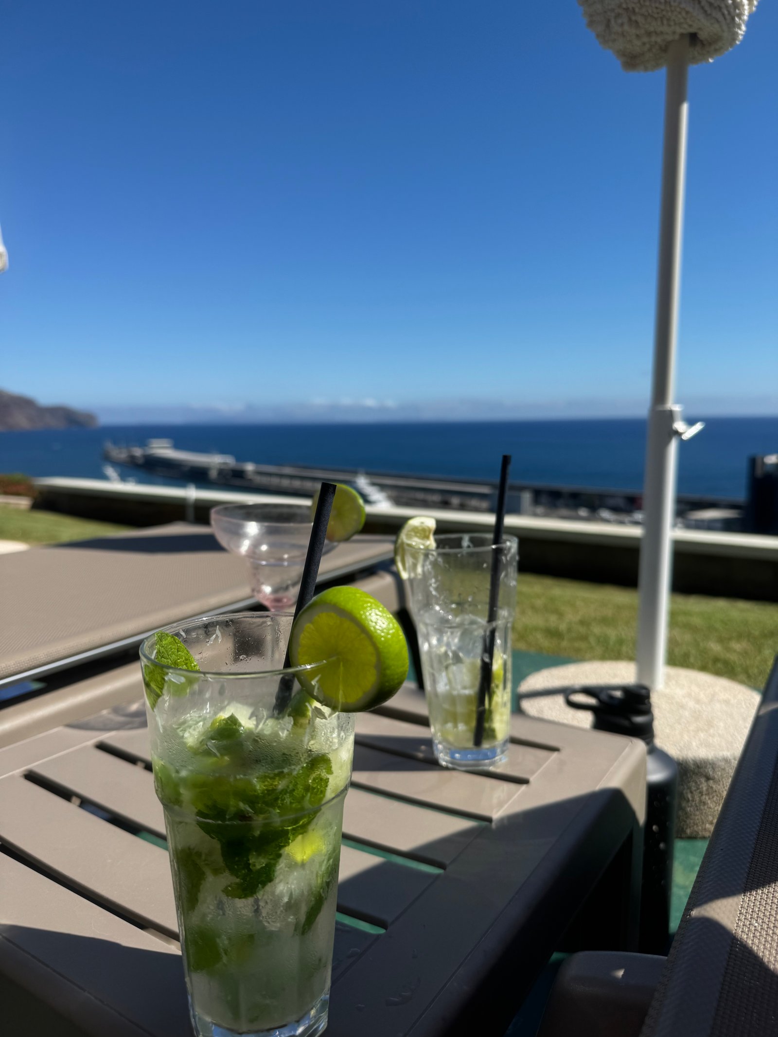 Just a couple Mojitos for hydration purposes 